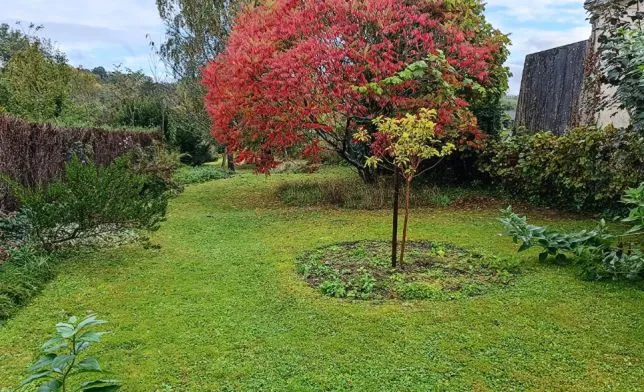 Photo de la maison n°0 à CAUVIGNY