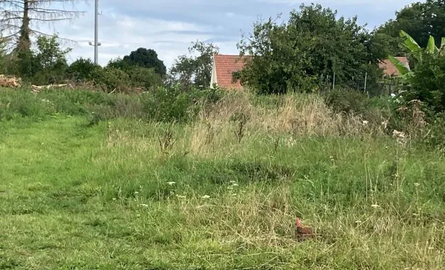 Photo de la maison n°2 à TRACY-LE-VAL